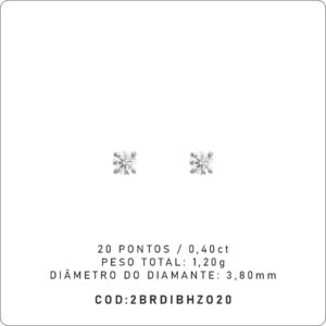Brinco Solitário 20 Pontos