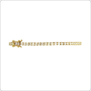 Pulseira 4 Garras 4 Pontos