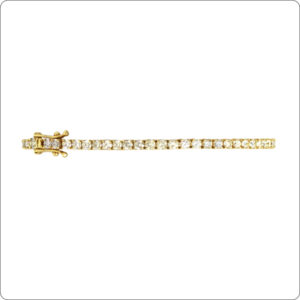 Pulseira 4 Garras 6 Pontos