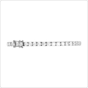Pulseira 4 Garras 20 Pontos